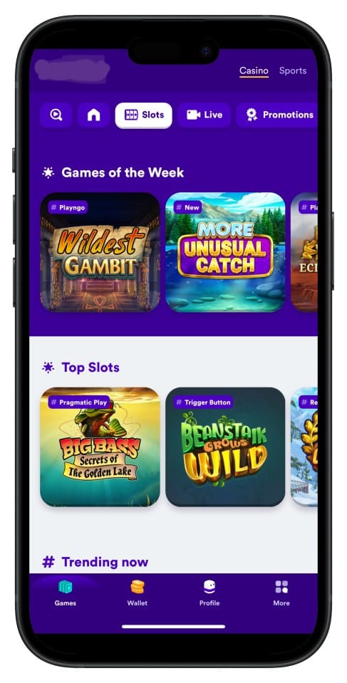 f999 অ্যাপ ইন্টারফেস স্ক্রিনশট—ইন্টুইটিভ মেনু ও পরিষ্কার লেআউট